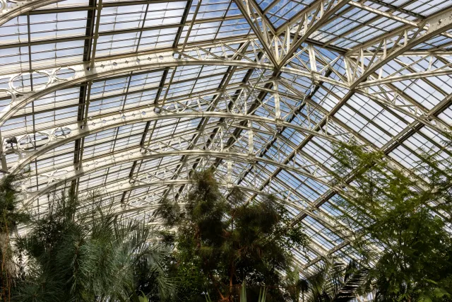Charpente métallique blanche et verrière au-dessus des arbres dans la Temperate House de Kew Gardens.
