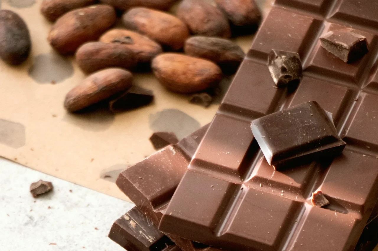 Gebroken stukken pure en melkchocolade liggen met cacaobonen op een lichte ondergrond.