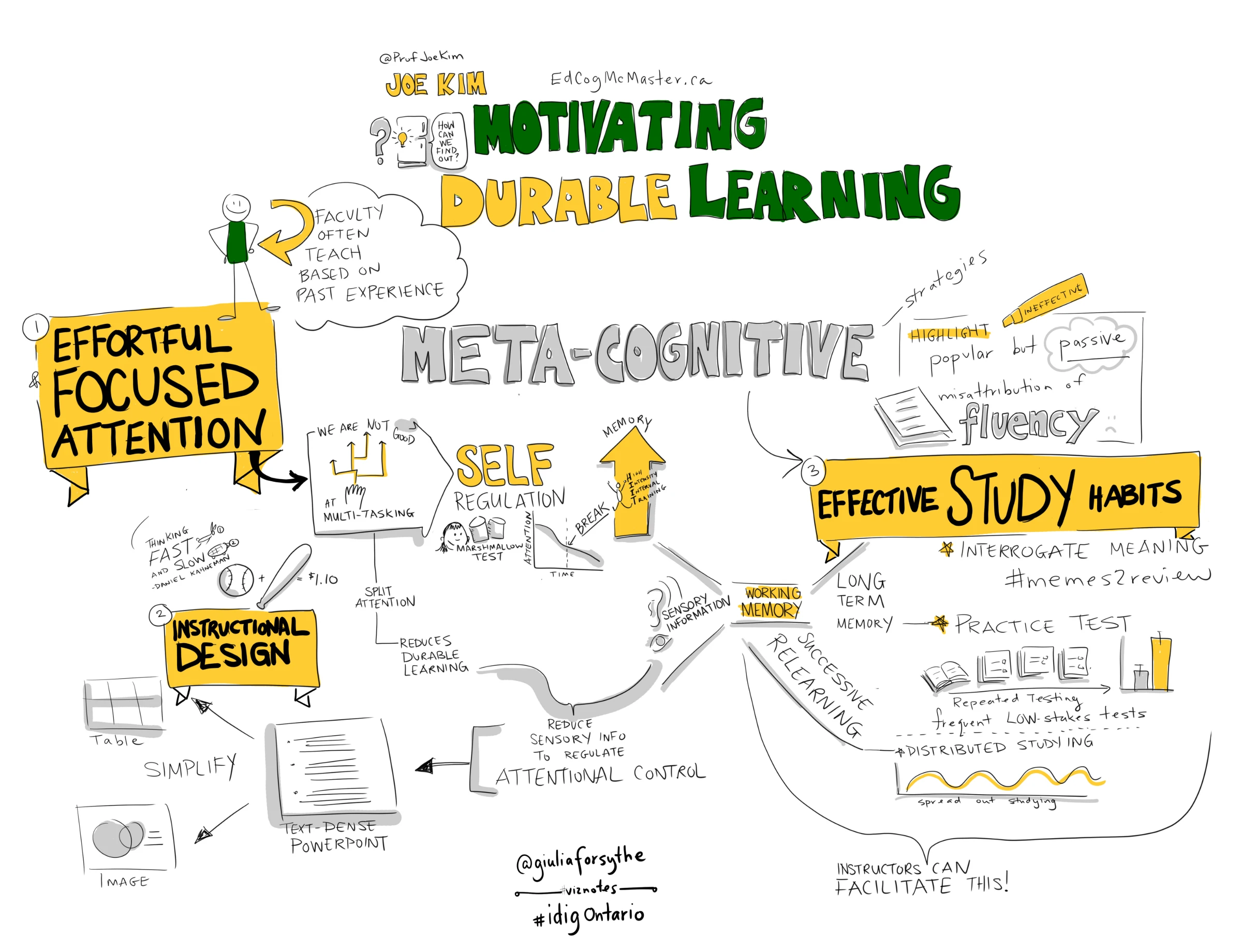 Visual notes with green and yellow headings, small figures, arrows and sketches connecting attention, memory and study habits.